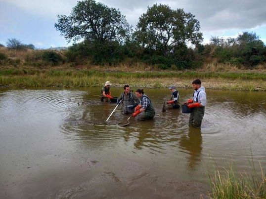 Chantier de désempoissonnement d'une mare naturelle, équipe technique et travaux du CEN Occitanie, août 2023, St Maurice Navacelles (crédit photo H.Muller)