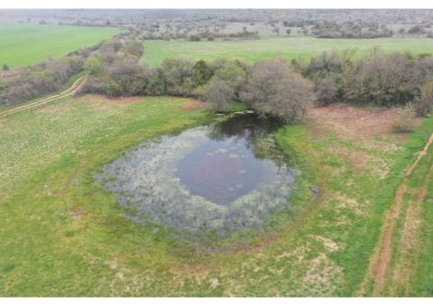 Mare naturelle temporaire méditérranéenne (crédits Mathieu Catala, CCLL, 2022)